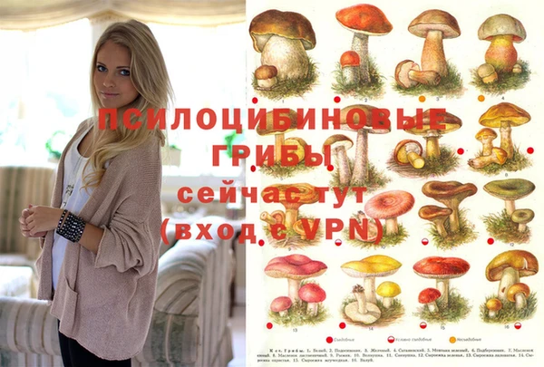 экстази Алексин