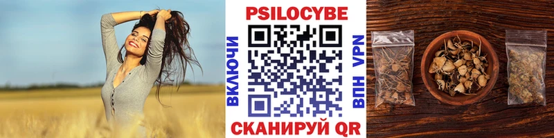 Галлюциногенные грибы прущие грибы  дарнет шоп  Пенза 